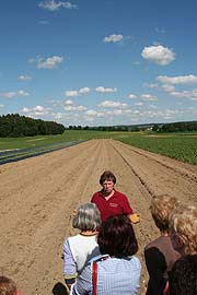 Erlebnisprogramm: Sopargel auf dem Feld kennenlernen (©Foto: Martin Schmitz)